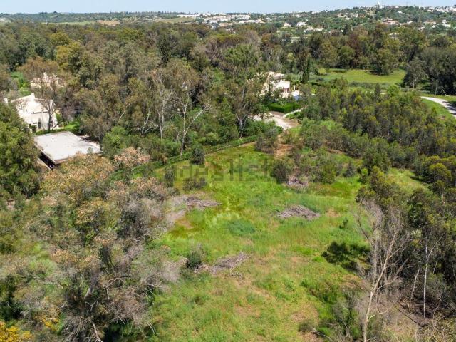 Terreno, Alvor