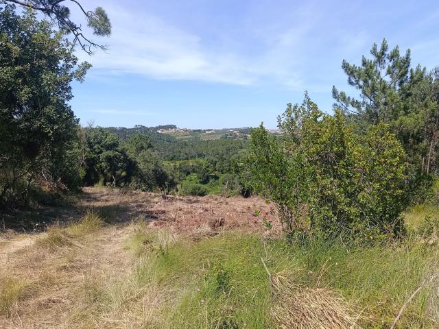 Terreno, Alvorninha