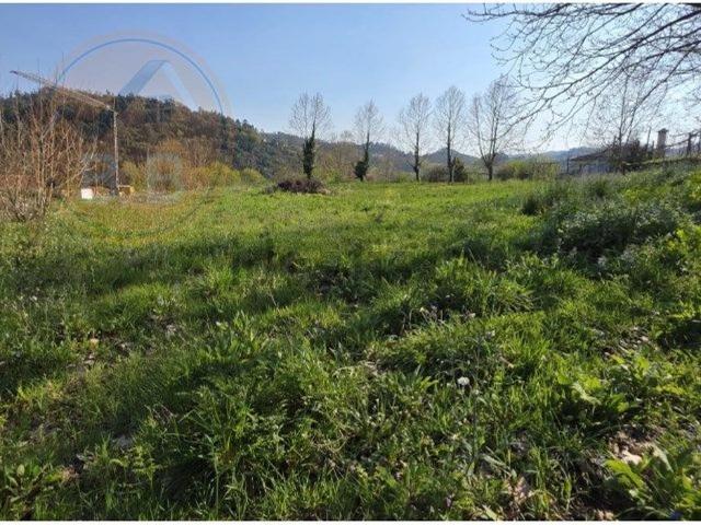 Terreno, Alvite e Passos