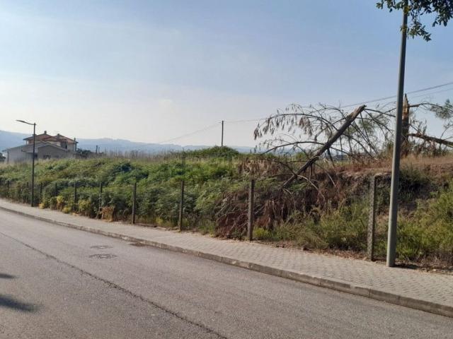 Terreno, Amarante São Gonçalo Madalena Cepelos Gatão