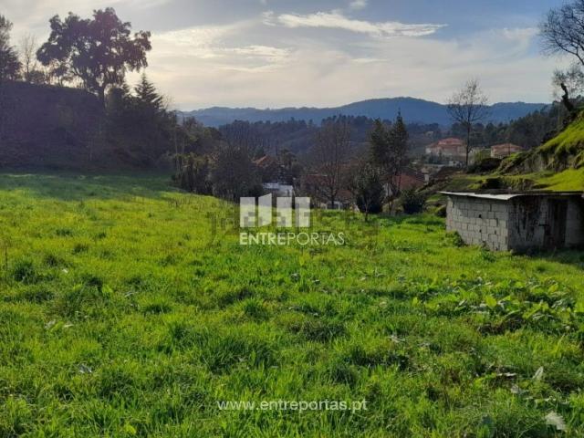 Terreno, Amarante São Gonçalo Madalena Cepelos Gatão