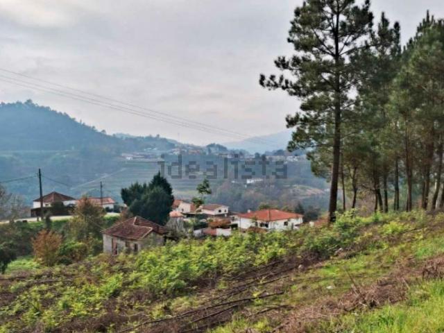 Terreno, Amarante São Gonçalo Madalena Cepelos Gatão