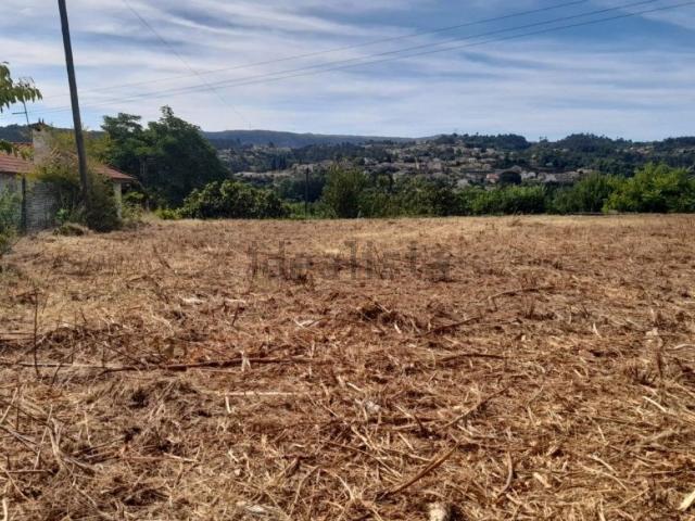 Terreno, Amarante São Gonçalo Madalena Cepelos Gatão