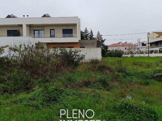 Terreno, Amora