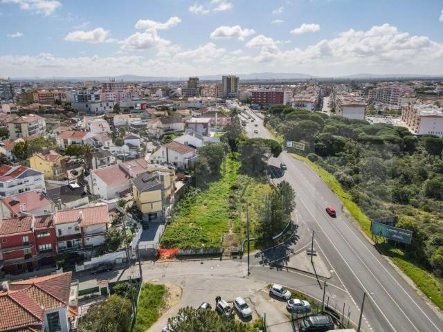 Terreno, Amora