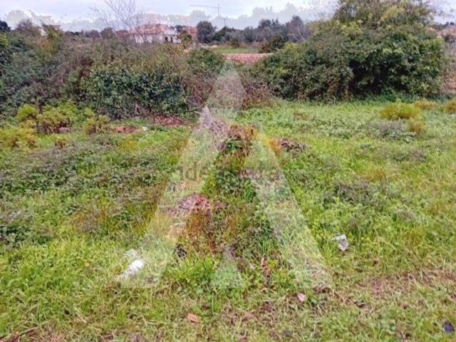 Terreno, Amoreira da Gândara Paredes do Bairro Ancas
