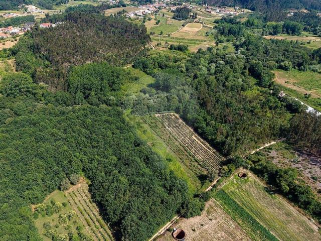 Terreno, Amoreira da Gândara Paredes do Bairro Ancas