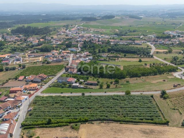 Terreno, Amoreira da Gândara Paredes do Bairro Ancas