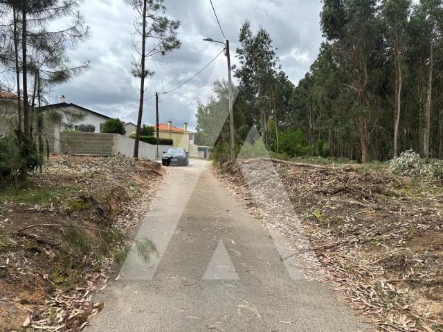 Terreno, Amoreira do Repolão, Oliveira do Bairro
