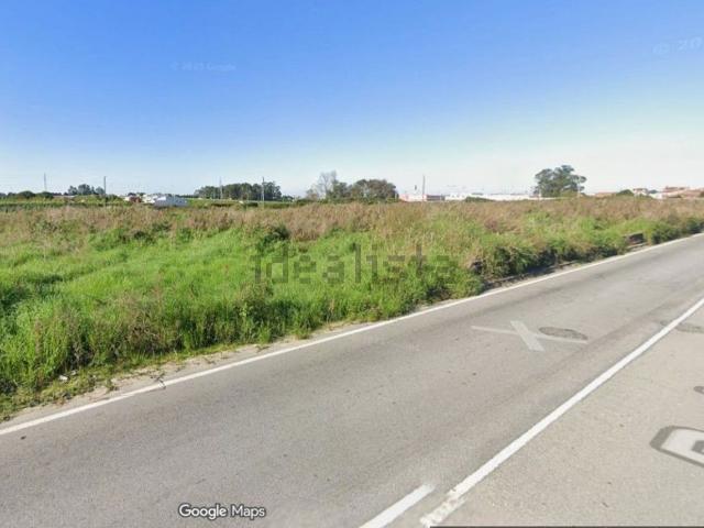 Terreno, Amorim