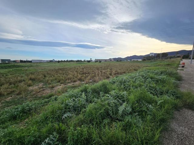 Terreno, Amposta