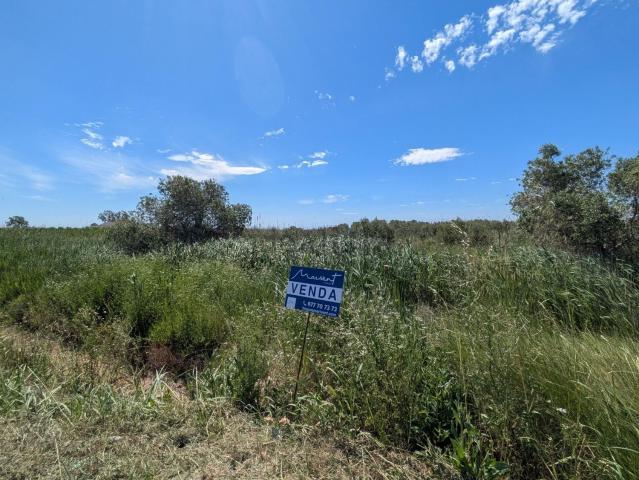 Terreno, Amposta