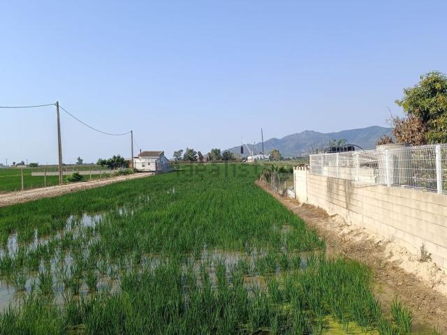 Terreno, Amposta