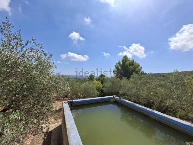 Terreno, Amposta