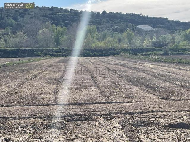 Terreno, Amposta