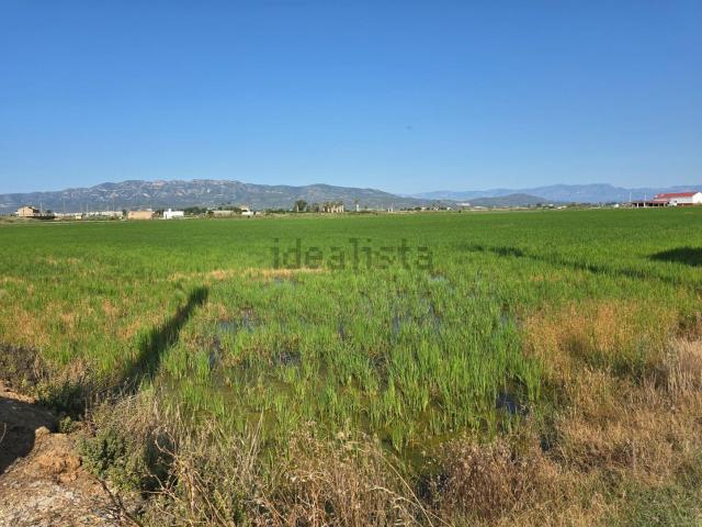 Terreno, Amposta