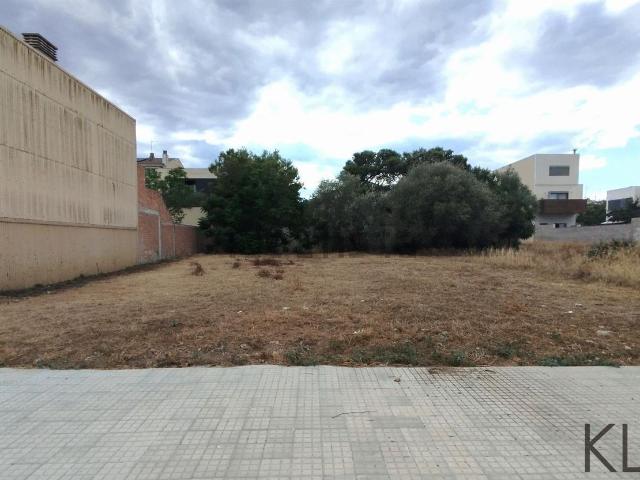 Terreno, Amposta