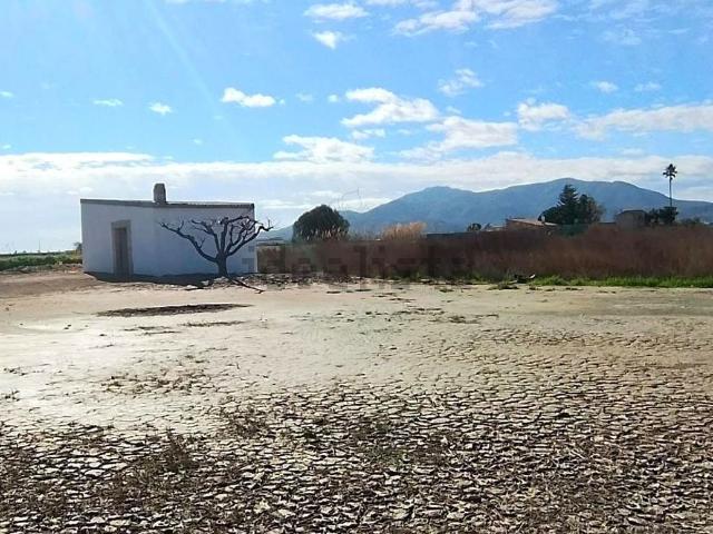 Terreno, Amposta