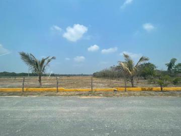 Terreno Amplio a Pie de Carretera en Villas El Reposo, ¡Ubicación Estratégica!