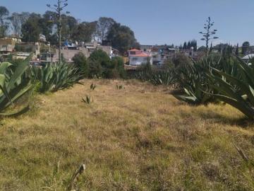 Terreno Amplio en Tlalmanalco con Potencial de Desarrollo – 2,297 m²