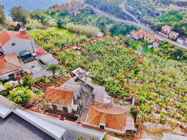 Terreno Amplo com Moradia Tradicional e Palheiro Ponta do. 115m² Canhas