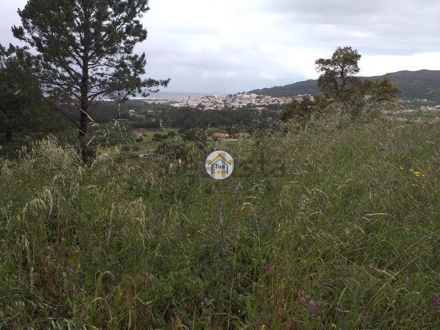 Terreno, Âncora