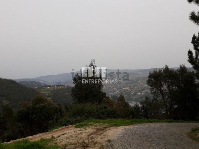 Terreno, Ancede e Ribadouro
