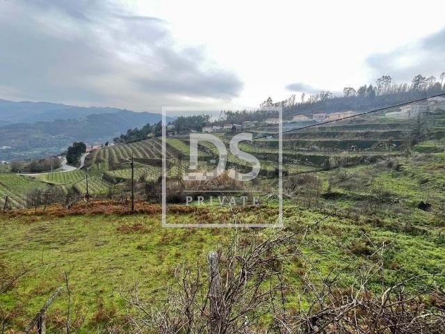 Terreno, Ancede e Ribadouro