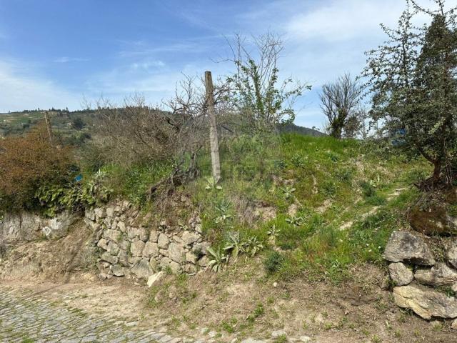 Terreno, Ancede e Ribadouro