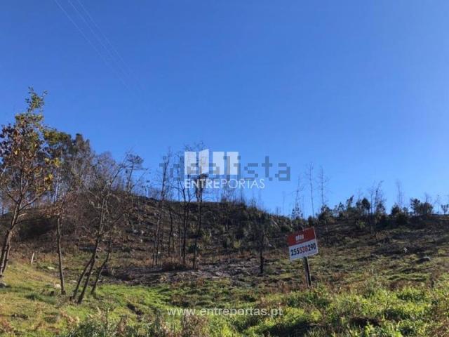 Terreno, Ancede e Ribadouro