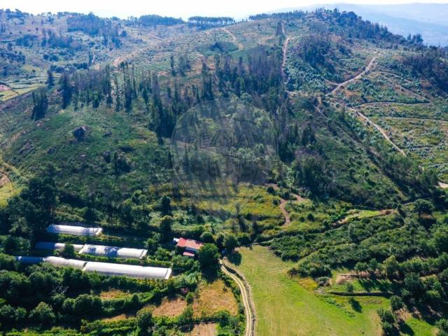 Terreno, Ancede e Ribadouro