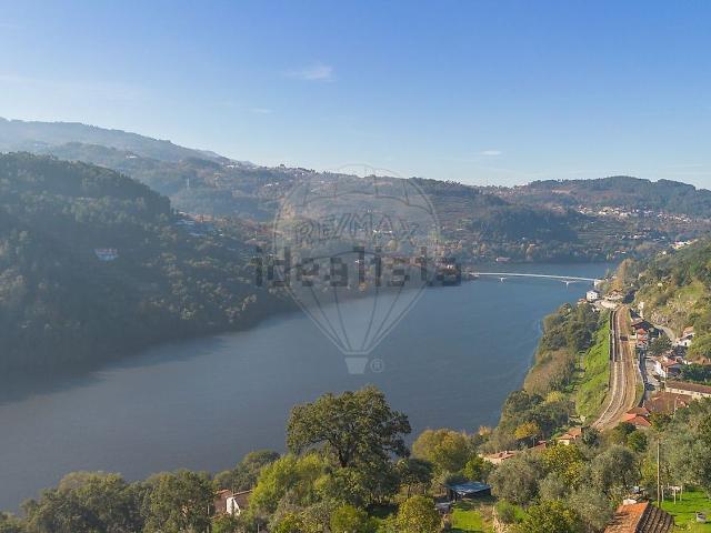 Terreno, Ancede e Ribadouro