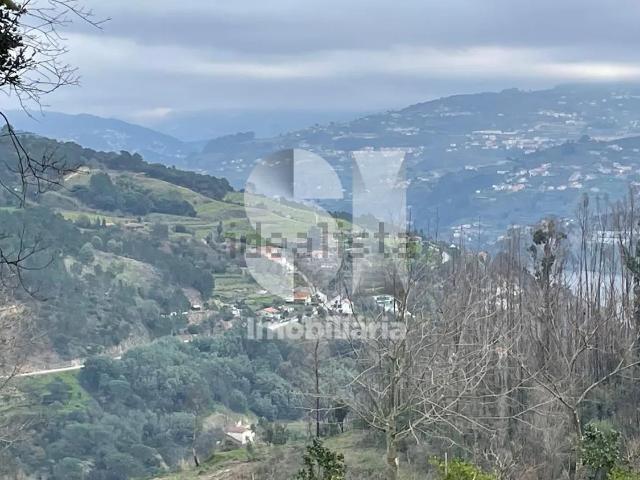 Terreno, Ancede e Ribadouro