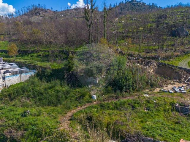 Terreno, Ancede e Ribadouro