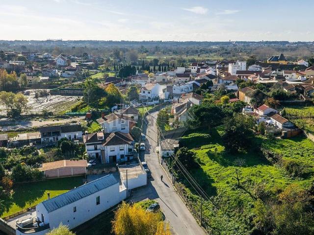 Terreno, Angeja