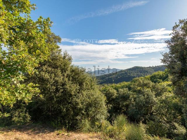 Terreno, Anglès