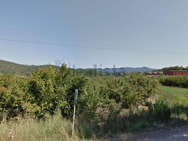 Terreno, Anglès