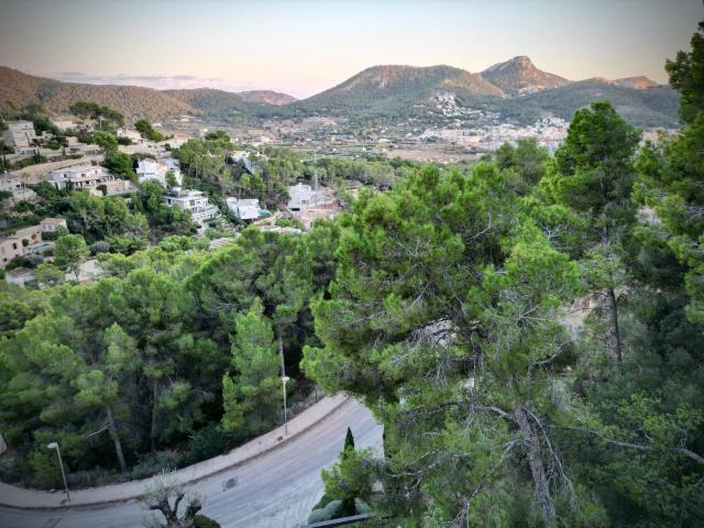 Terreno, Andratx