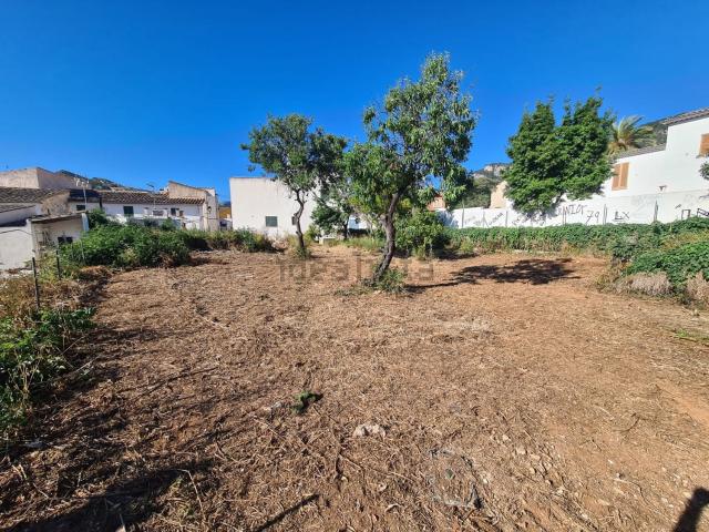 Terreno, Andratx