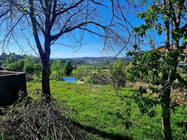 Terreno, Anjos e Vilar do Chão