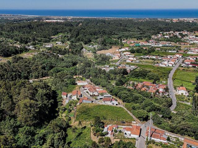 Terreno, Anta