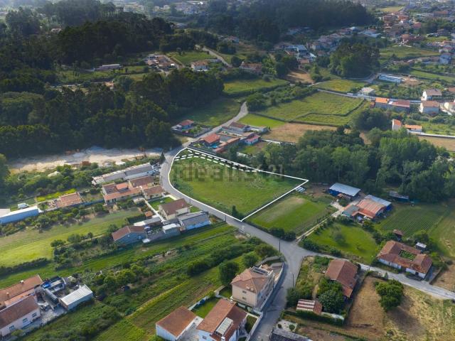 Terreno, Anta