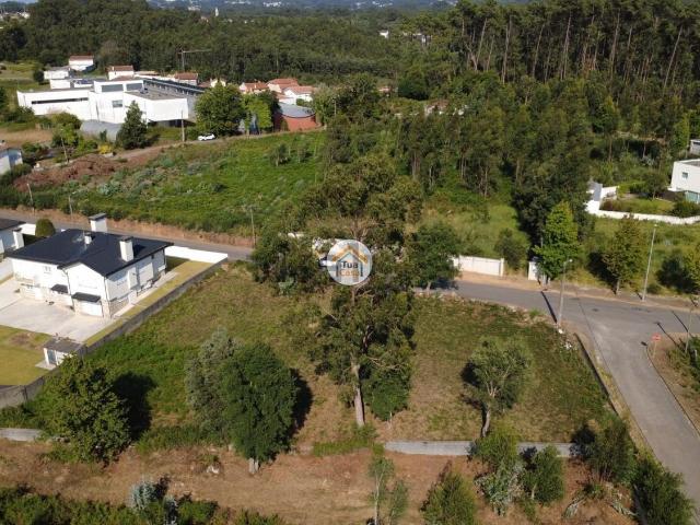 Terreno, Anta