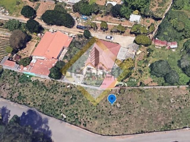 Terreno, Anta