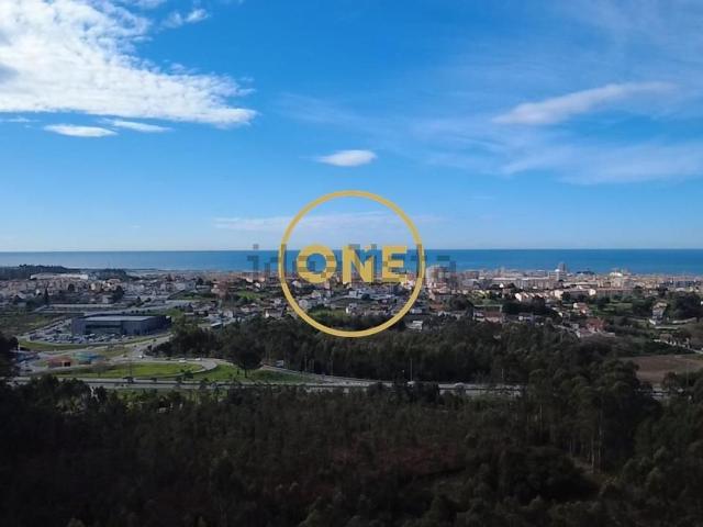 Terreno, Anta