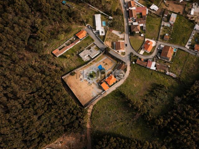 Terreno, Anta