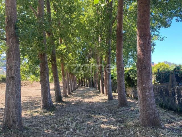 Terreno, Antas