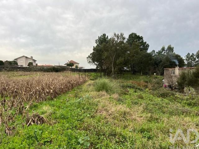 Terreno, Antas