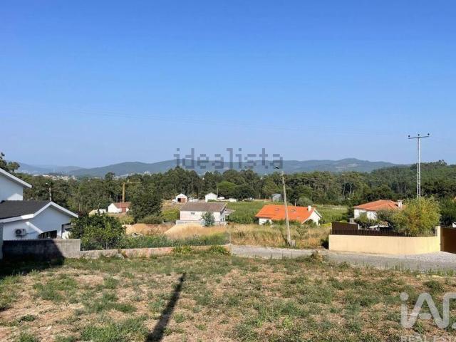 Terreno, Antas