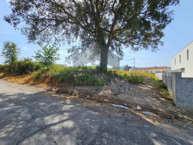 Terreno, Antas